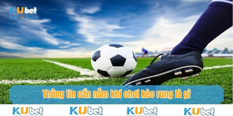 Kinh nghiệm cho người chơi tham gia cược rung